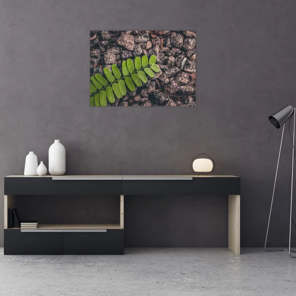 Tablou cu planta verde (70x50 cm)