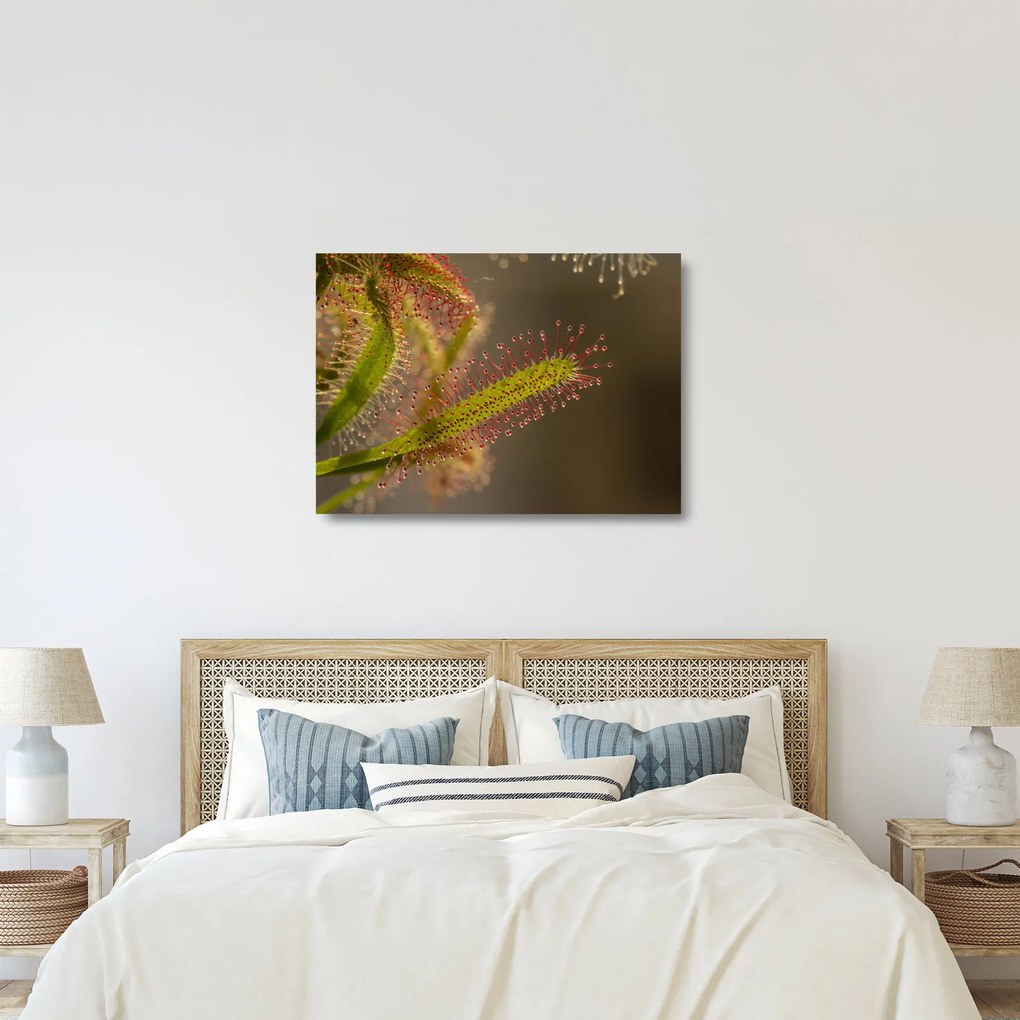 Tablou pe sticlă cu plantă (70x50 cm)
