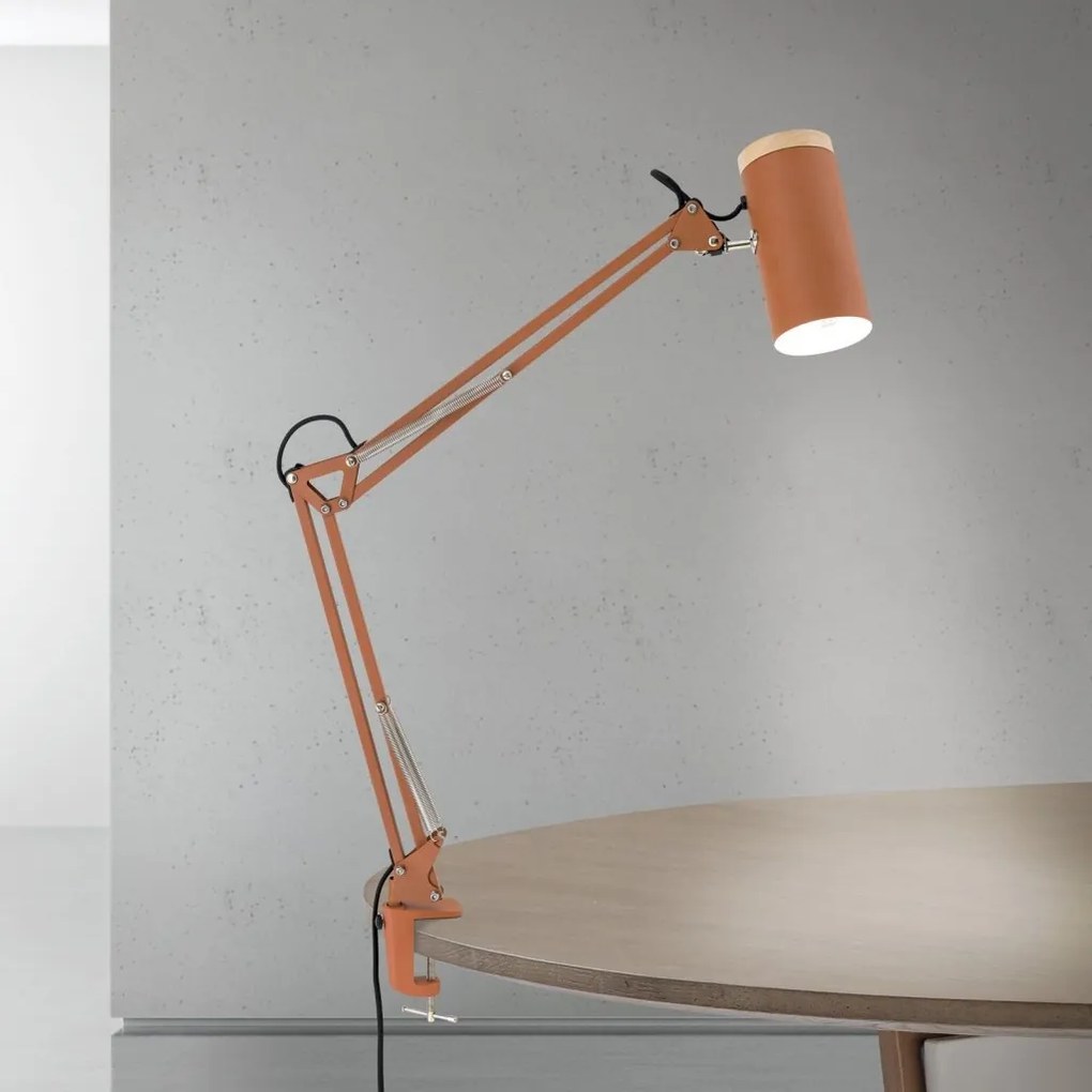 Lampa cu brat articulat si sistem de prindere masa, Gili rosu coral