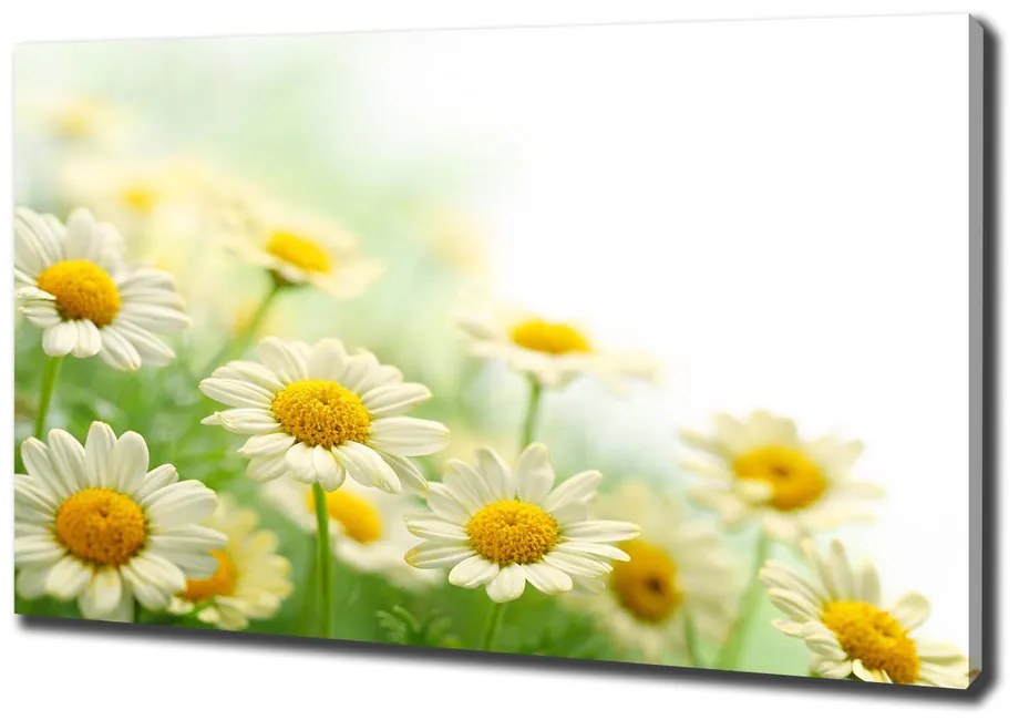 Tablou canvas Margarete
