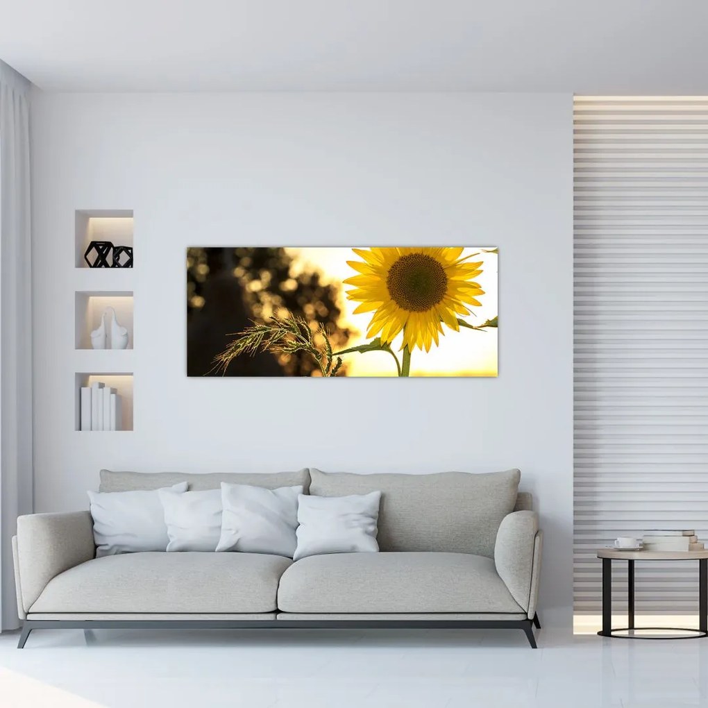 Tablou cu floarea soarelui (120x50 cm)