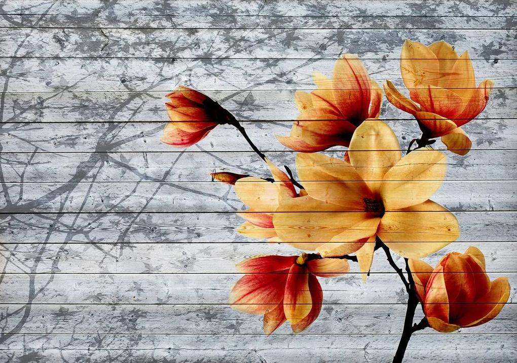 Fototapet - Flori portocalii pe scânduri din lemn (254x184 cm), în 8 de alte dimensiuni noi