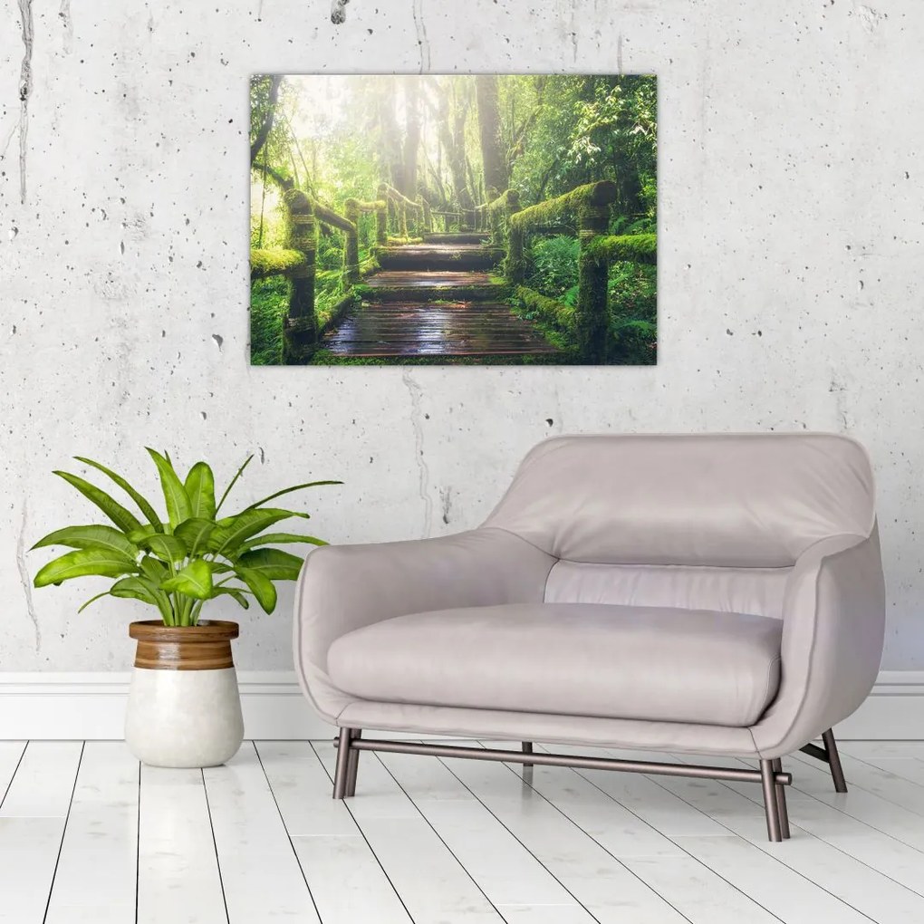 Tablou - trepte din lemn în pădure (70x50 cm)