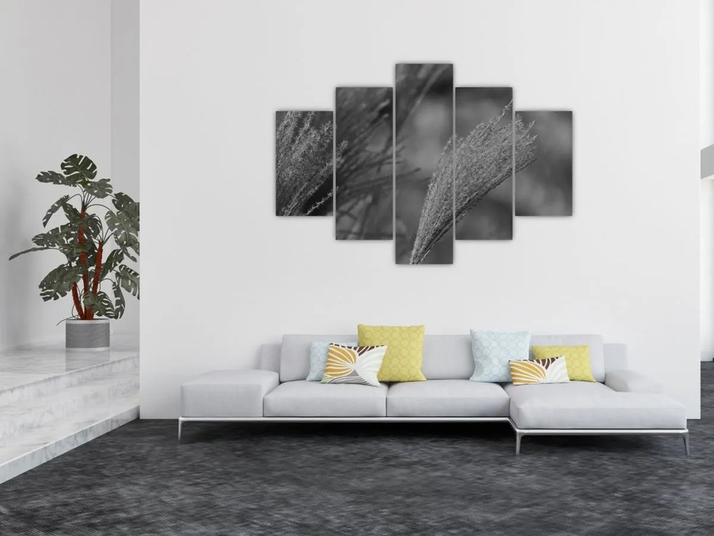 Tablou - Iarbă de pampas uscată (150x105 cm)