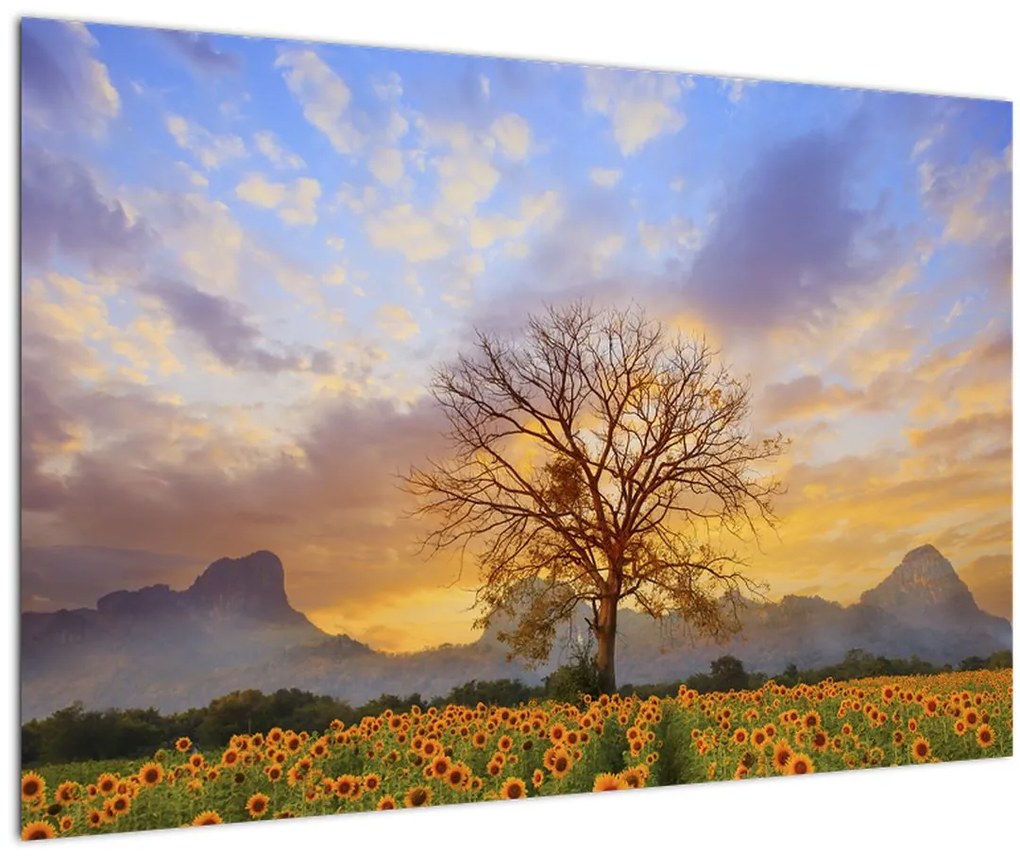 Tablou - Peisaj cu floarea soarelui (90x60 cm)