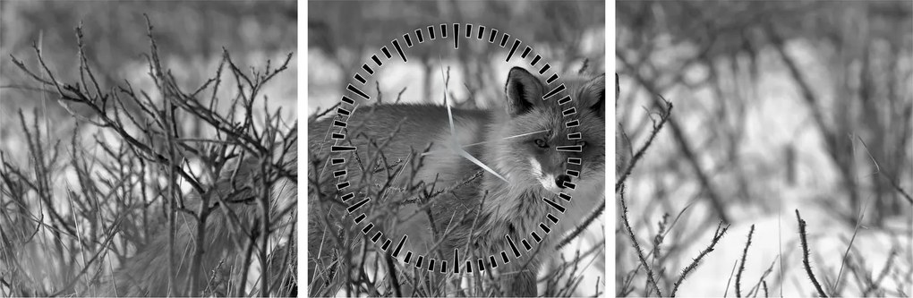 Tablou - Vulpe în timpul iernii (cu ceas) (90x30 cm)