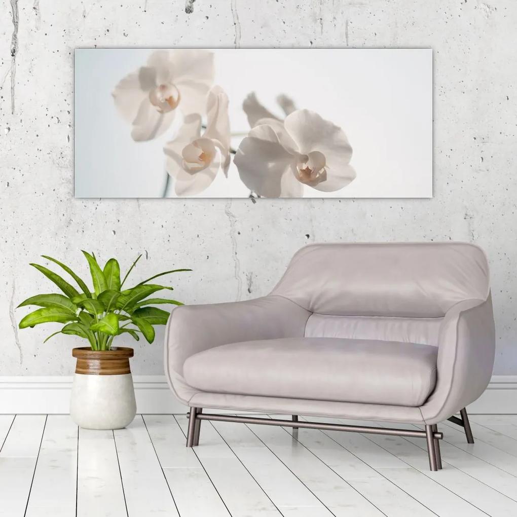 Tablou cu orhidee albă (120x50 cm), în 40 de alte dimensiuni noi