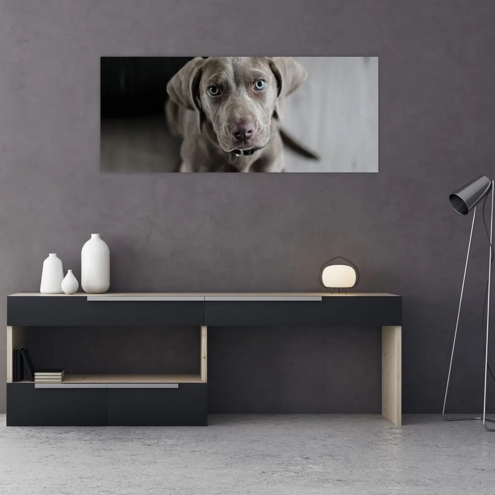 Tablou cu cățeluș (120x50 cm)