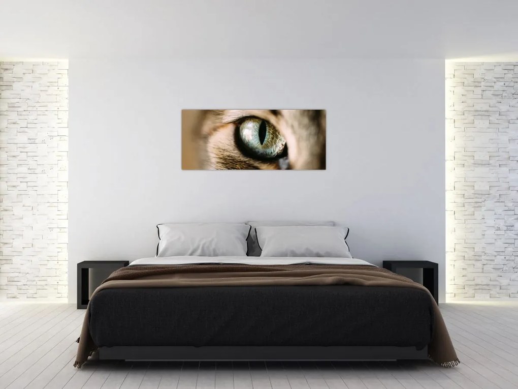 Tablou - Ochi de pisică (120x50 cm)