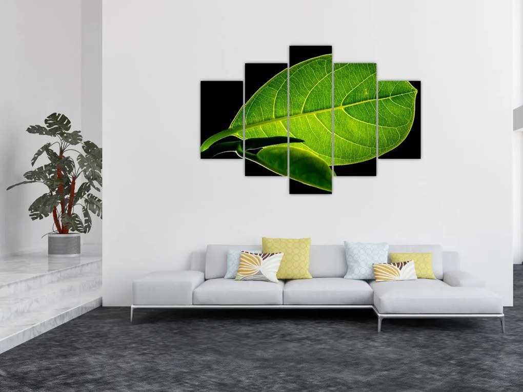 Tablou - frunză verde (150x105 cm)