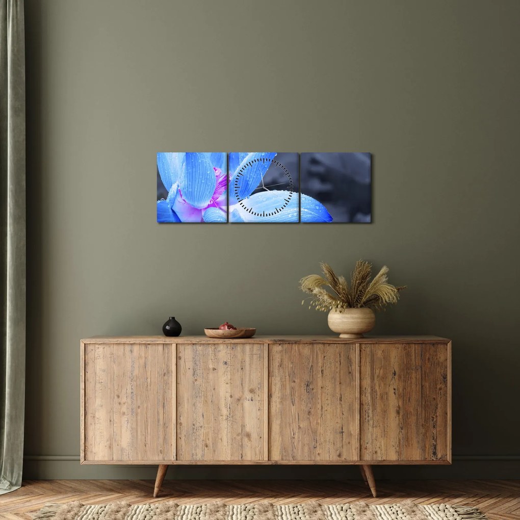 Tablou florilor în detailu (cu ceas) (90x30 cm)