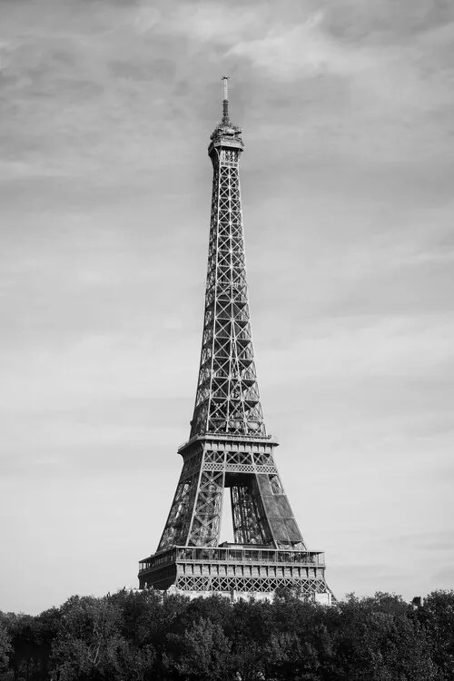 Fotografie Eiffel Tower - Tour Eiffel, Studio Collection