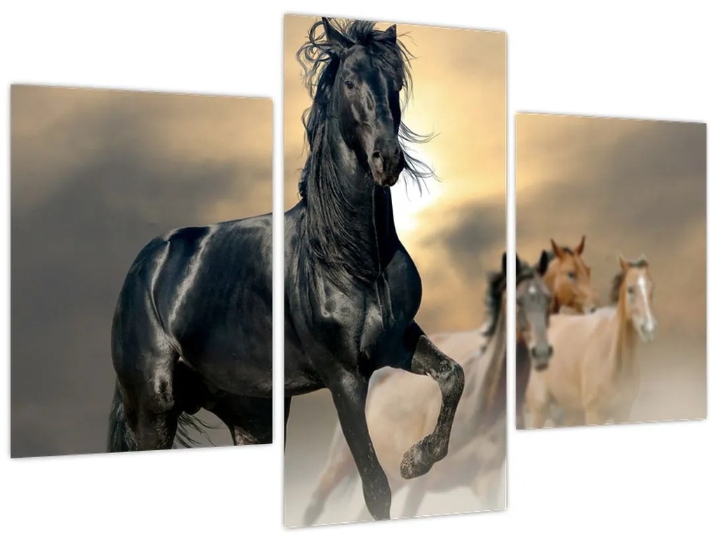 Tablou - Cai (90x60 cm)