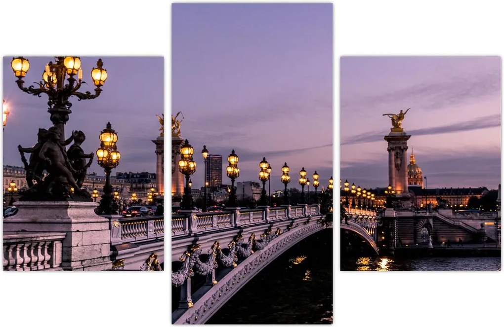 Tablou - Podul lui Alexandru al III.-lea din Paris (90x60 cm)