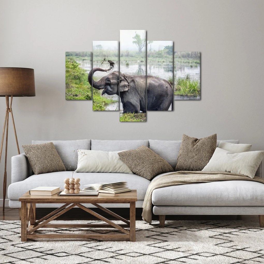 Tablou - Elefant de scăldat (150x105 cm)