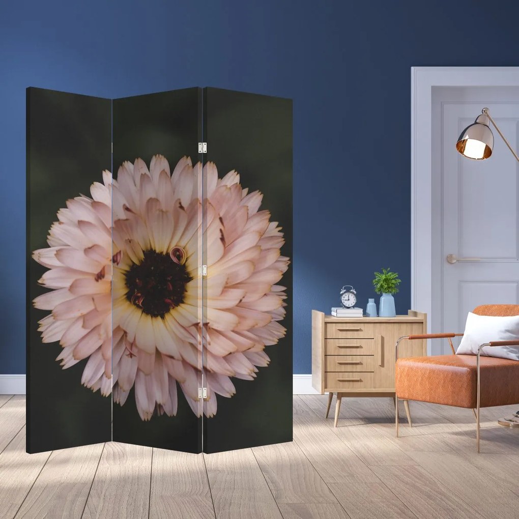 Paravan - Floare portocalie (126x170 cm)