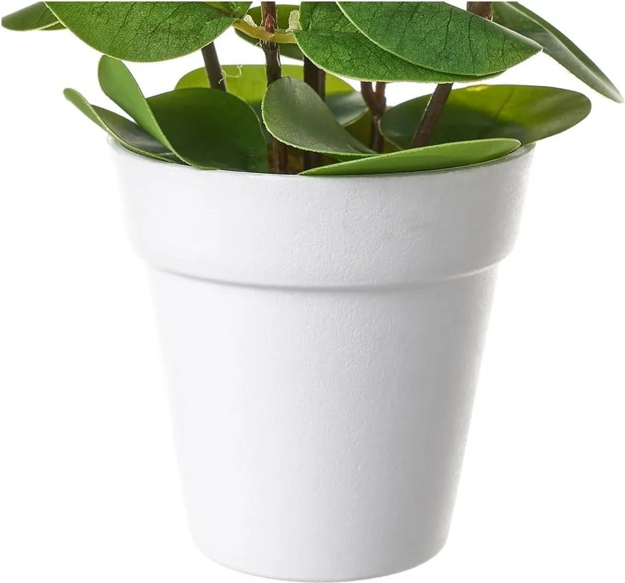 Plantă artificială – Casa Selección