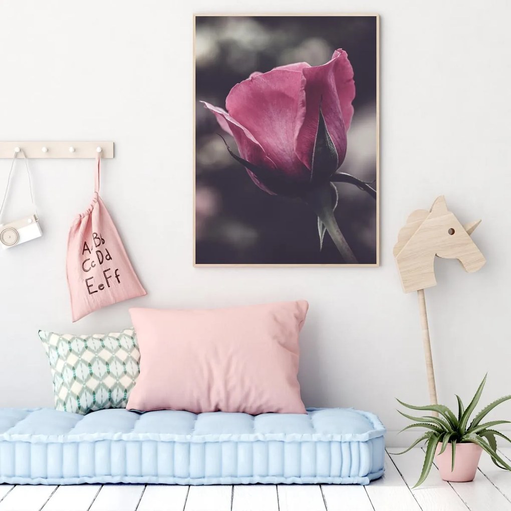 Poster - Floarea de trandafir (A4)