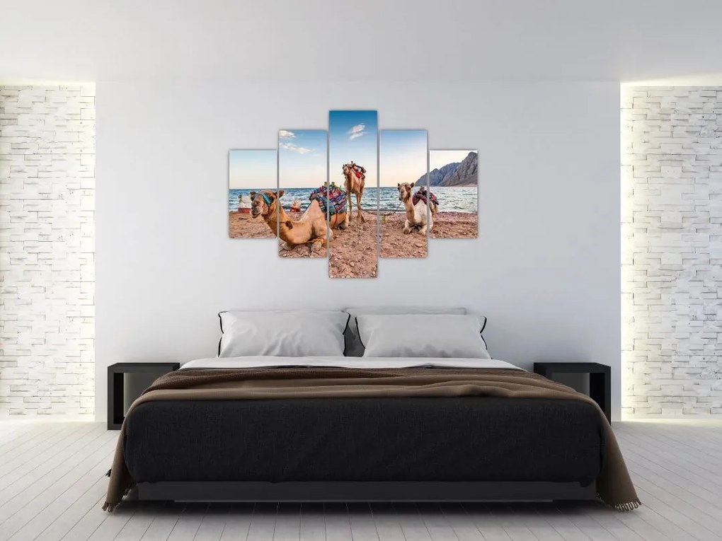 Tablou cu cămile (150x105 cm)