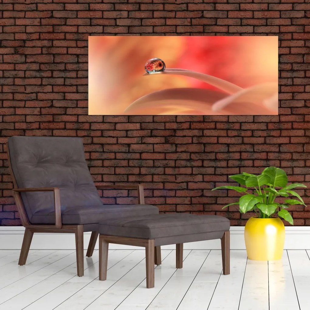 Tablou picăturii de rouă pe floare (120x50 cm)