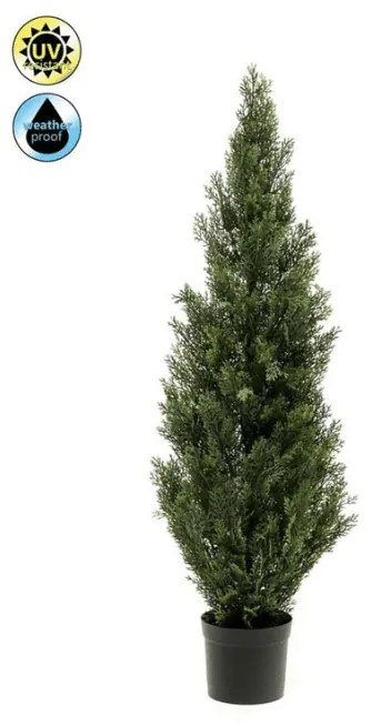 Plante de exterior - Cedru UV - 120 cm