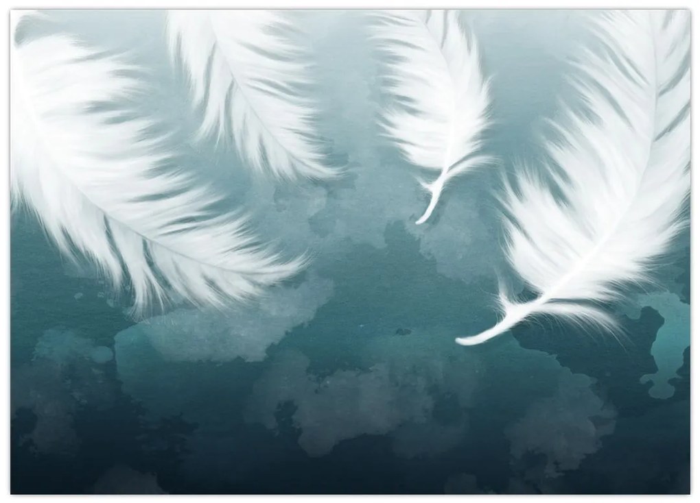 Tablou pe sticlă - Pene albe (70x50 cm)