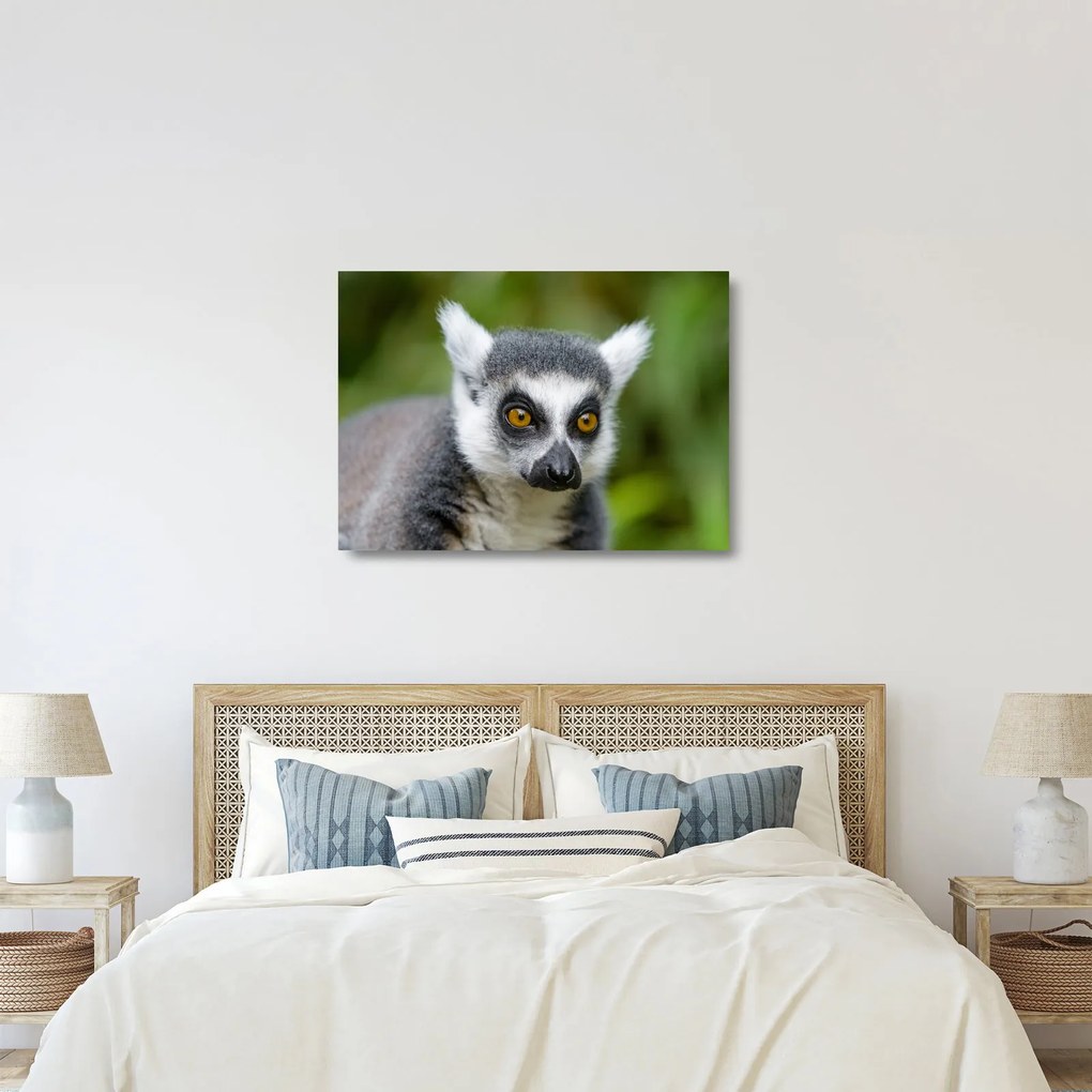 Tablou pe sticlă cu lemur (70x50 cm)