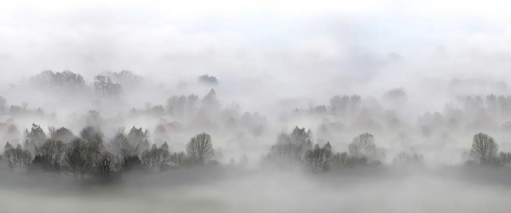 Tapet Morning Fog, Rebel Walls