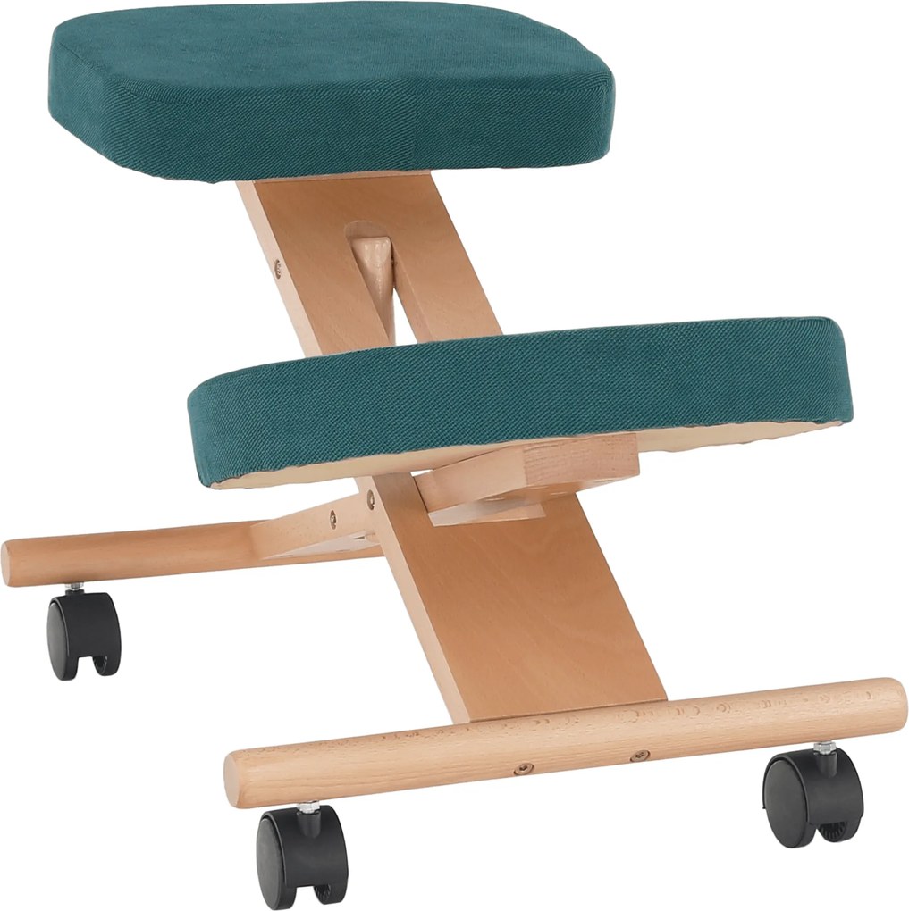 Scaun ergonomic, petrol/ fag, FLONET