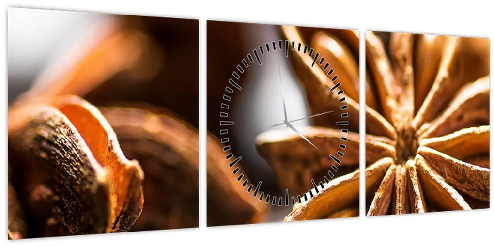 Tablou - Anason (cu ceas) (90x30 cm)