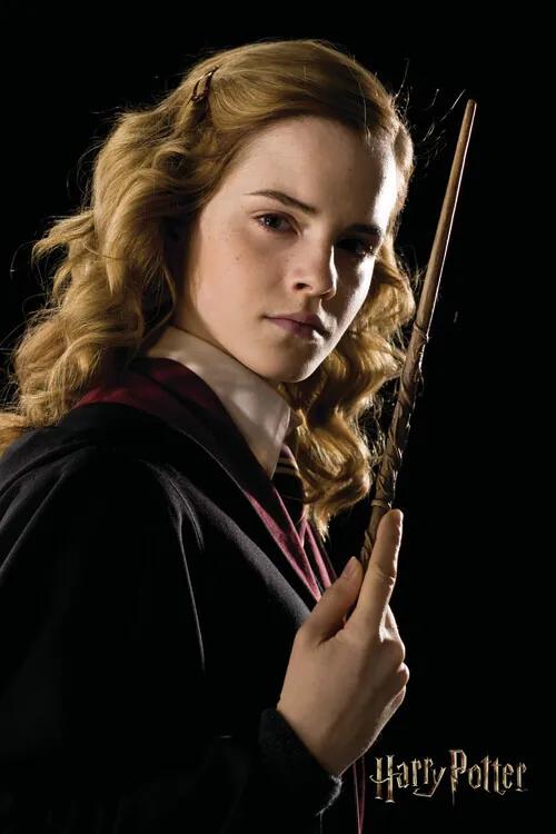 Poster de artă Harry Potter - Hermione Granger portrait, (26.7 x 40 cm)