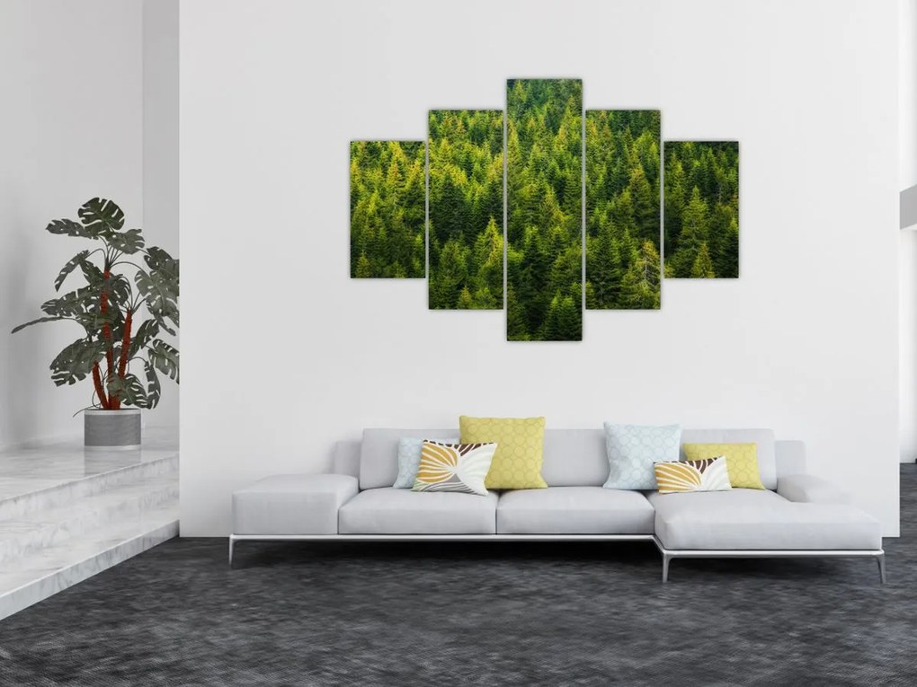 Tablou - Pădure deasă (150x105 cm)