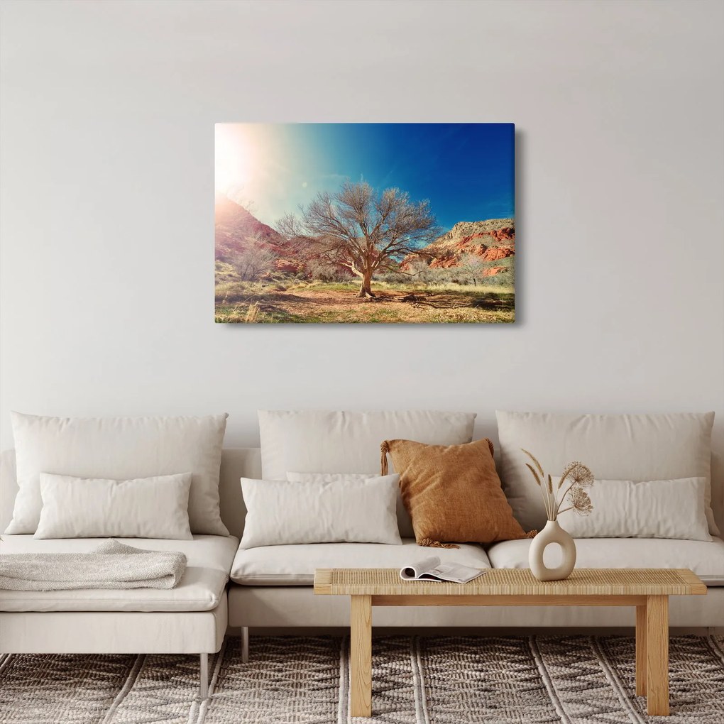 Tablou cu cu copac în deșert (90x60 cm)