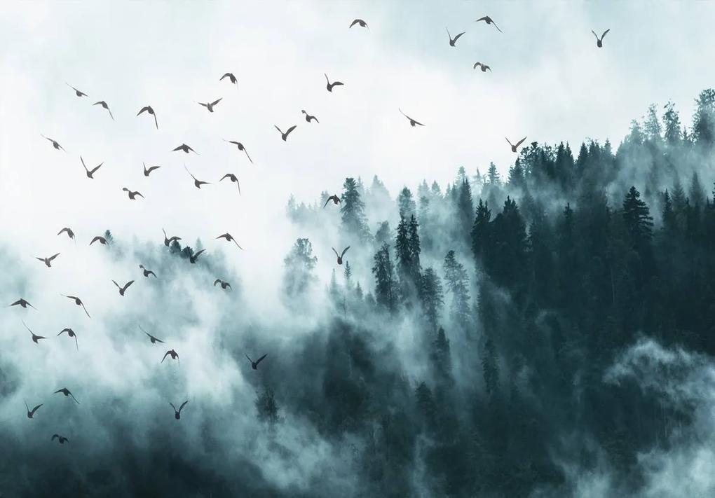 Fototapet - Păsări în ceață (152,5x104 cm), în 8 de alte dimensiuni noi