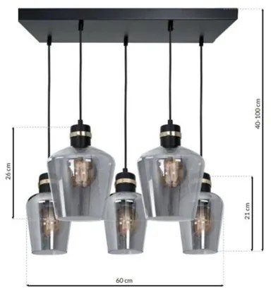 Lustră pe cablu RICHMOND 5xE27/60W/230V