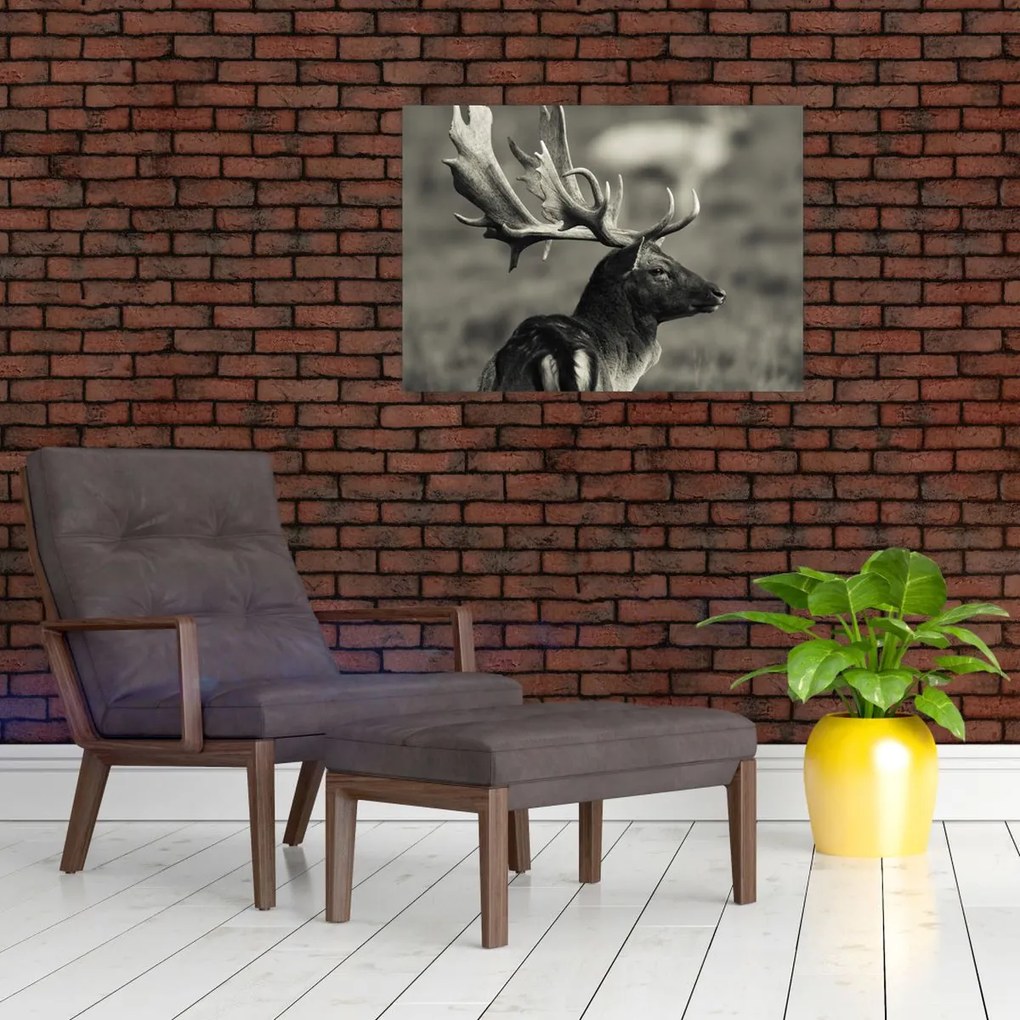 Tablou - Cerb (70x50 cm)