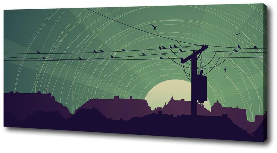 Tablou pe pânză canvas Oraș păsări