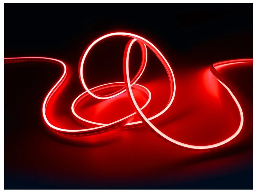Bandă LED albă 300 cm Neon – Reality