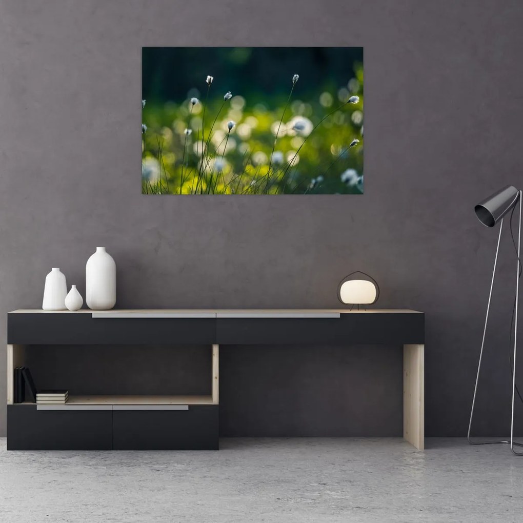 Tablou - Iarbă (90x60 cm)