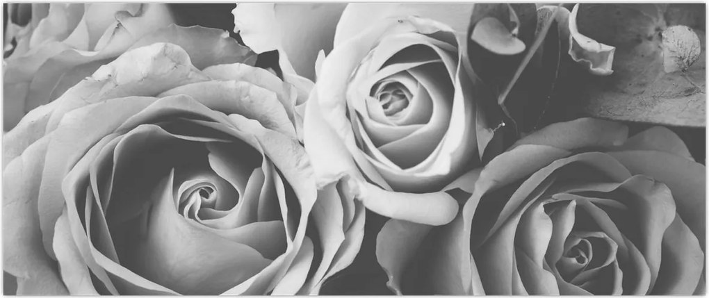 Tablou - Trandafir,alb-negru (120x50 cm)