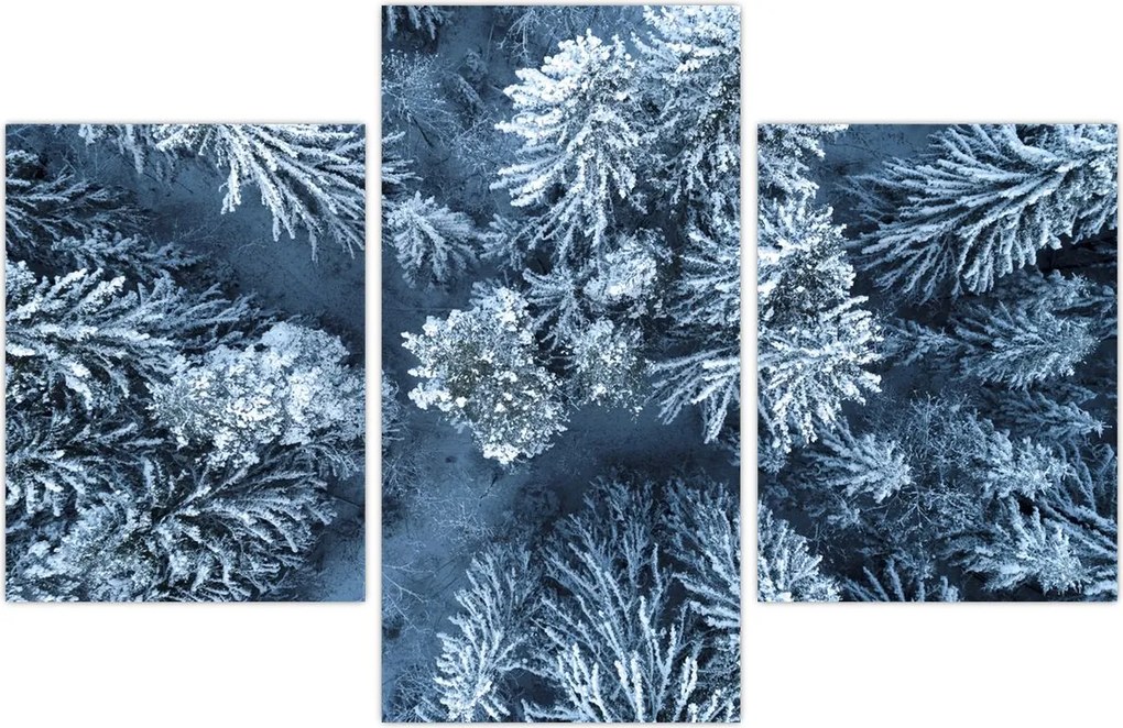 Tablou - Pădure înzăpezită (90x60 cm)