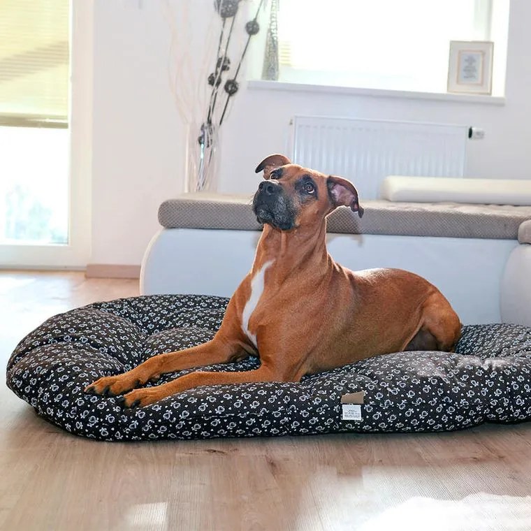 petsy Pernuţă pentru câine ALINTURI mărime M - 120 x 70 cm
