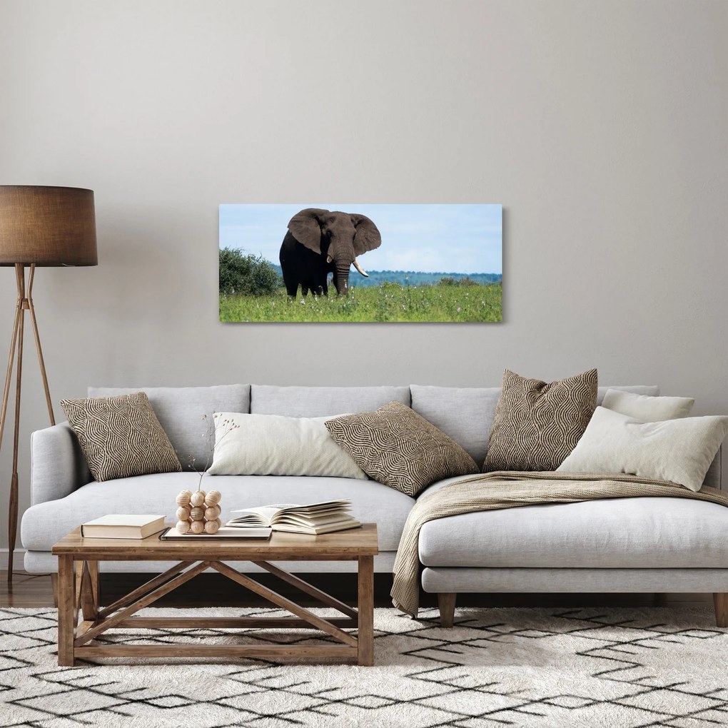 Tablou cu elefant (120x50 cm)
