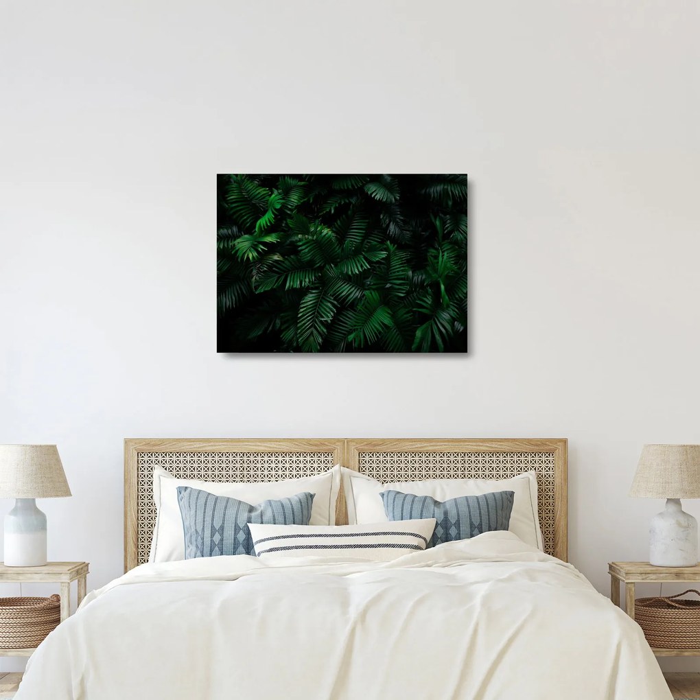 Tablou pe sticlă - Păpădii tropicale (70x50 cm)