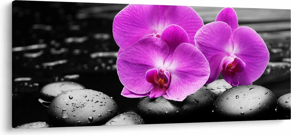 Tablou - Orhidee violet (120x50 cm)