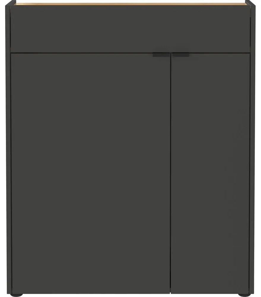 Dulap gri antracit 82x102x22 cm Ameca – Germania