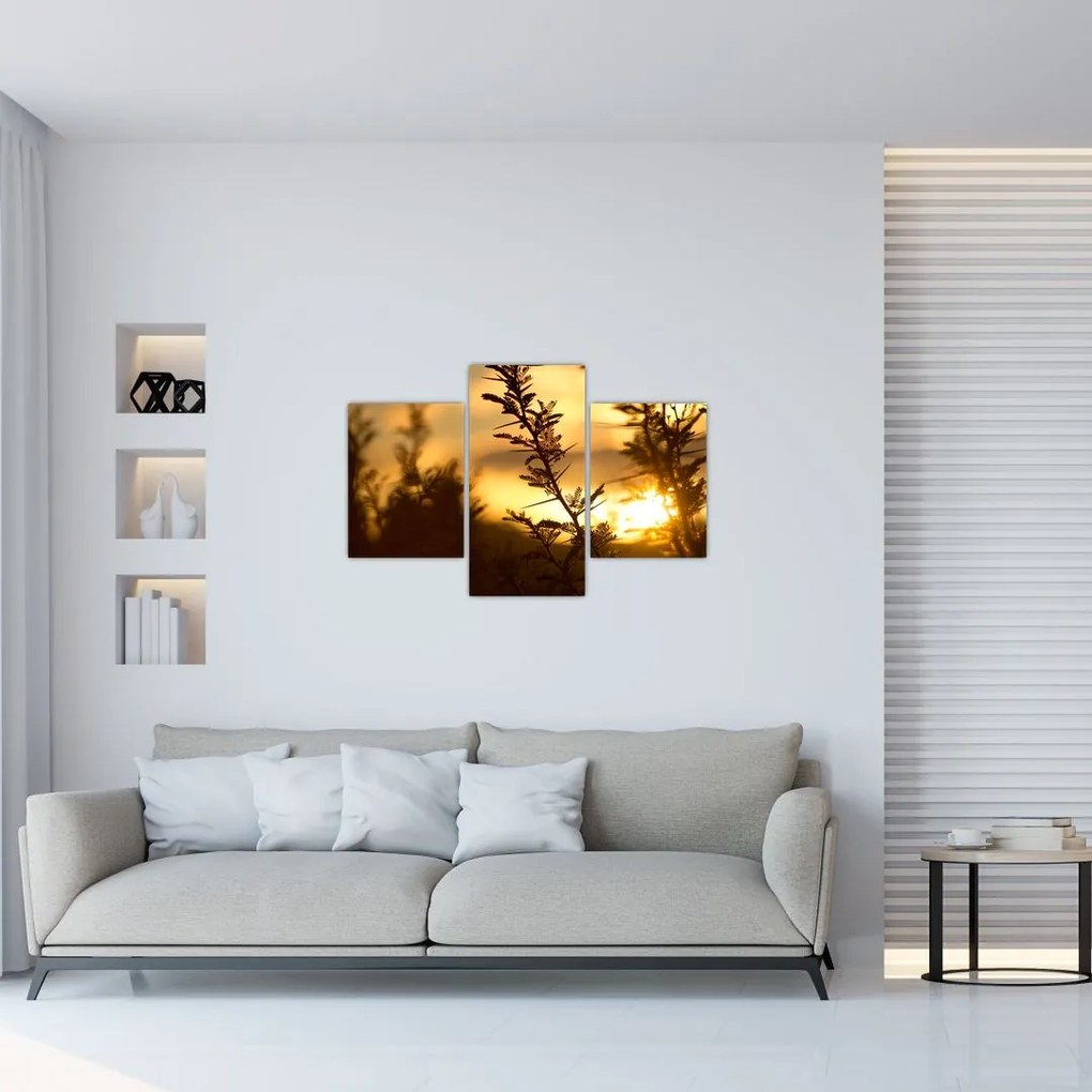 Tablou - Apus de soare (90x60 cm)