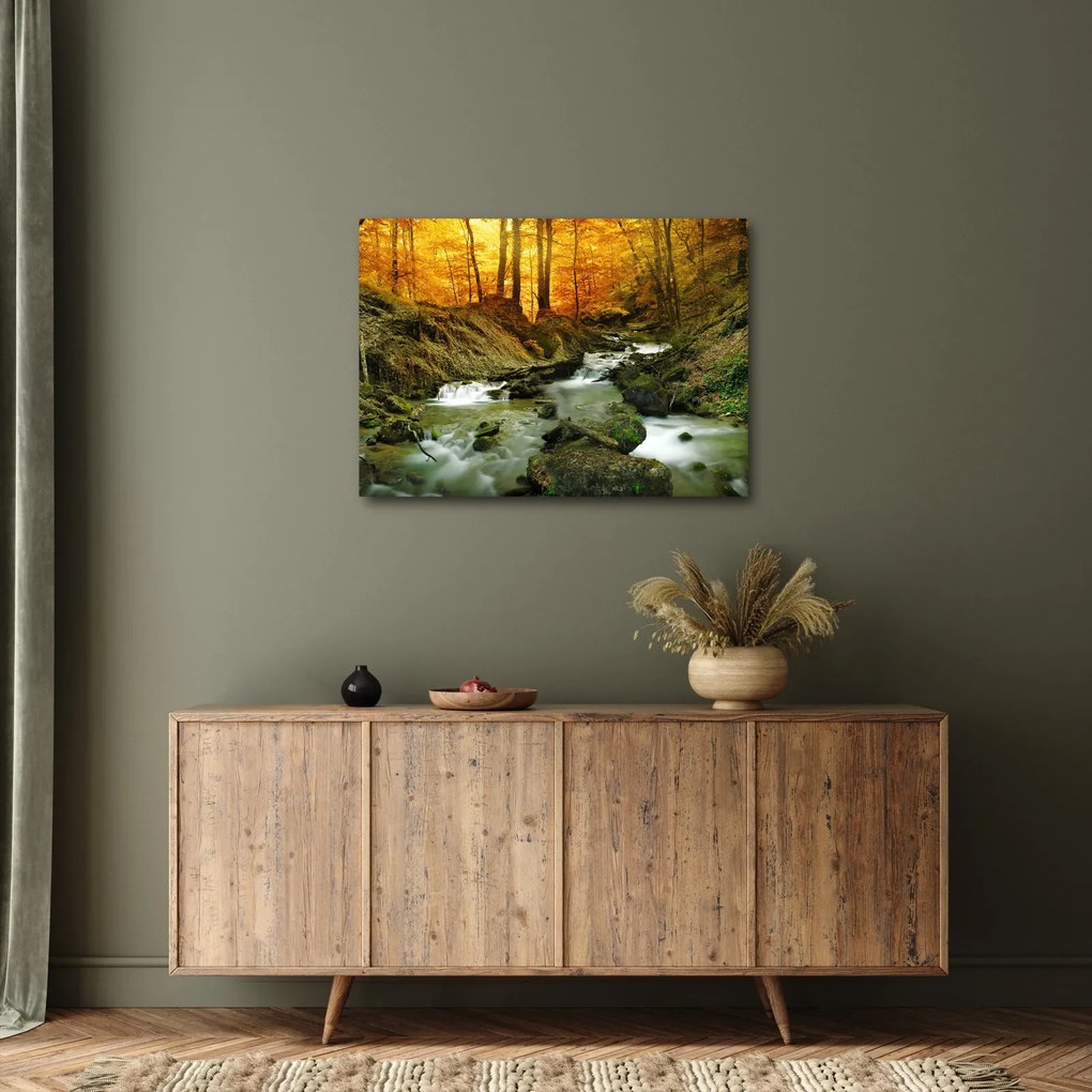 Tablou - Pădure (70x50 cm)