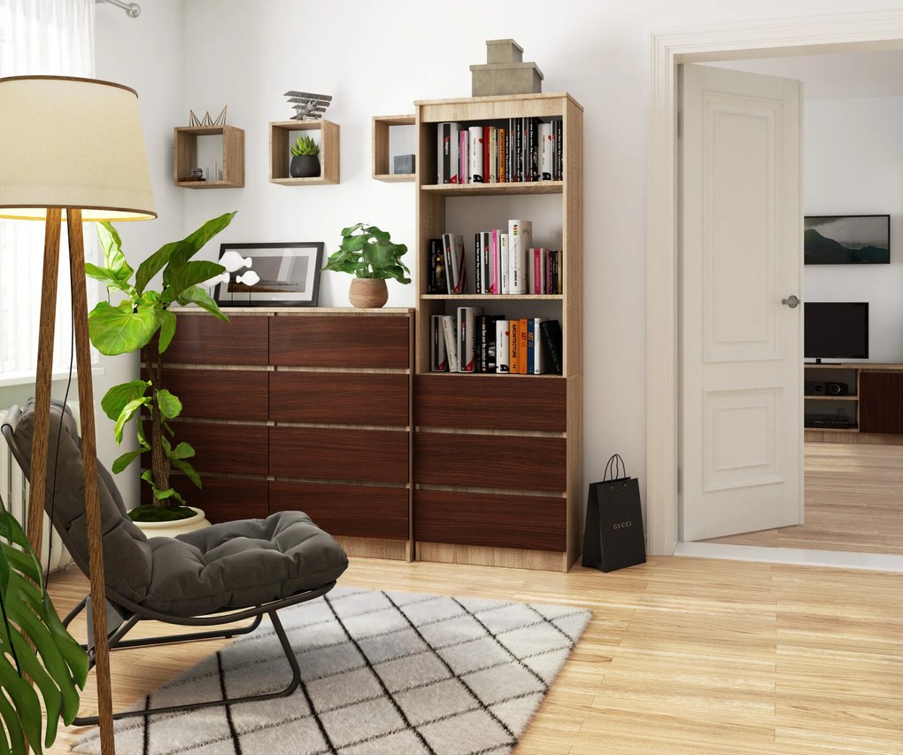 Raft Ravindra (Stejar sonoma + wenge). 1069808