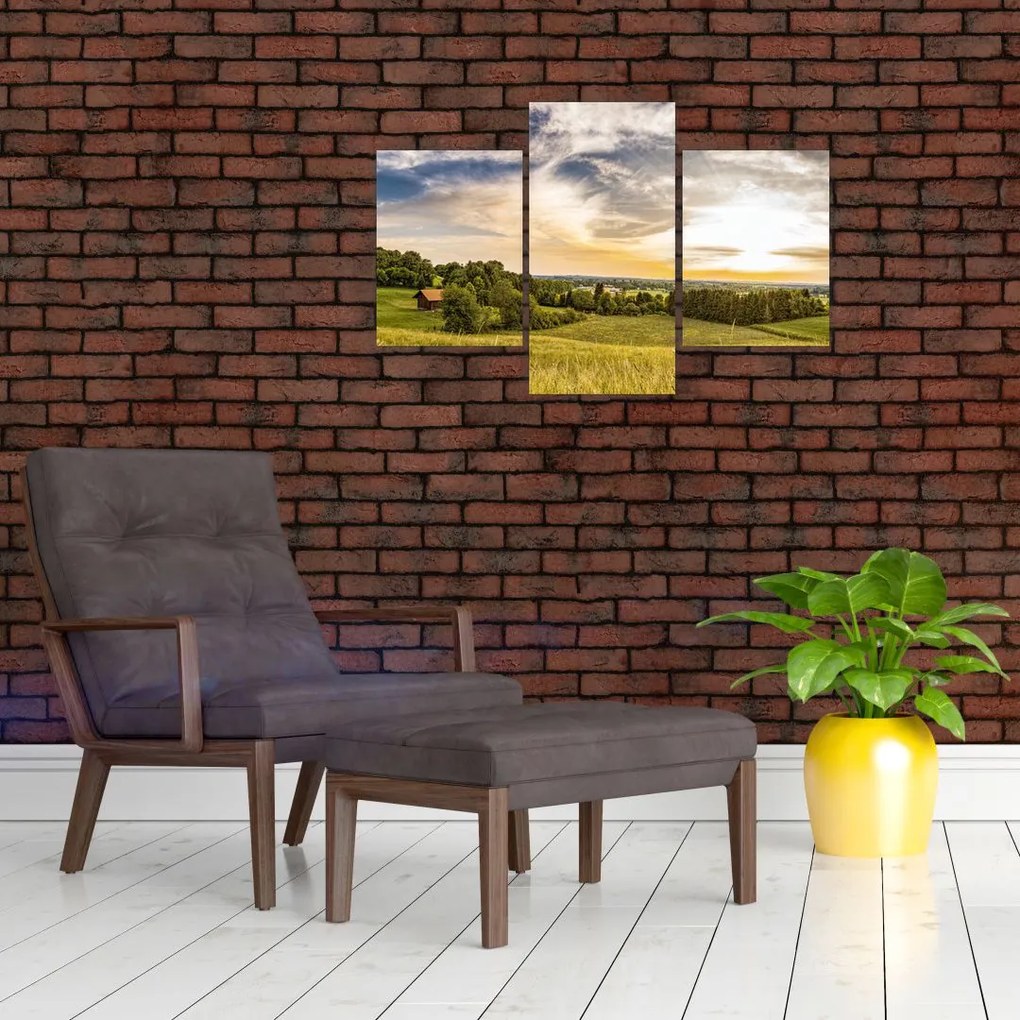 Tablou cu peisaj (90x60 cm)
